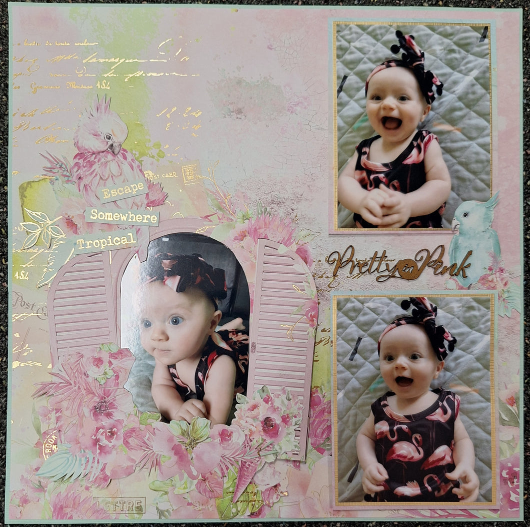 CAROL D $15.00 EASY SCRAPBOOK KIT   03