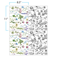 Load image into Gallery viewer, PRIMA INFUSIBLE PRINTS PEACEFUL STEMS
