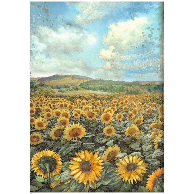 STAMPERIA  A4 Rice Paper - SUNFLOWER ART   DFSA4770