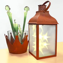 Load image into Gallery viewer, VIVA RUSTY EFFECT SET
