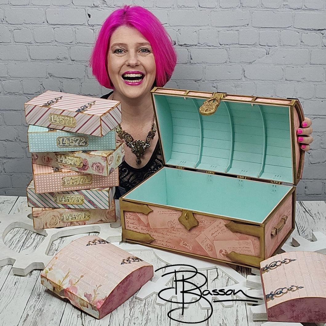 NEW SOUTH WALES BELINDA BASSON  SATURDAY  24TH AUGUST 2024 9.00AM STEAMER TRUNK WITH 8 STORAGE BOXES