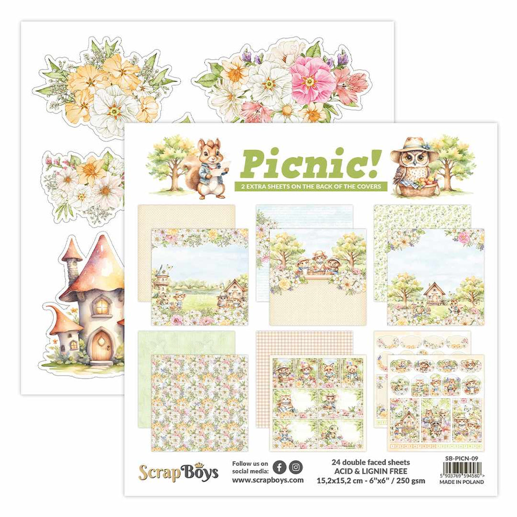 SCRAPBOYS PICNIC  PAPERPACK 6