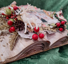 Load image into Gallery viewer, CHRISTMAS BOOK WITH CAROL SEPTEMBER 12TH 9.00AM
