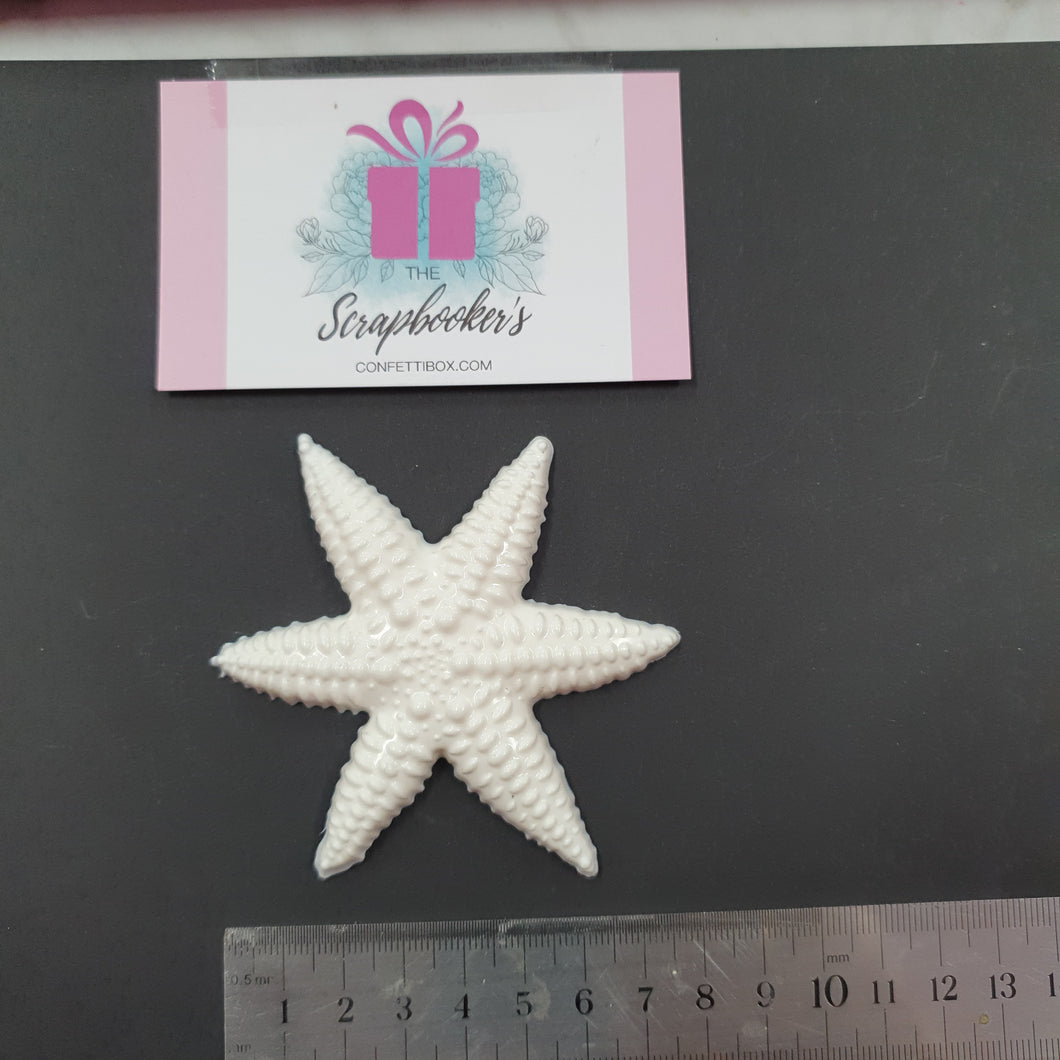 #18 RESIN PIECES - Starfish 1pc