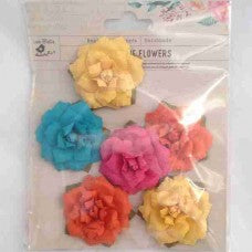 LITTLE BIRDIE Flowers - Carol Tropical Starburst 6pc