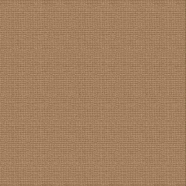 CARD STOCK 216gsm 10pack - Mocha 12 x 12