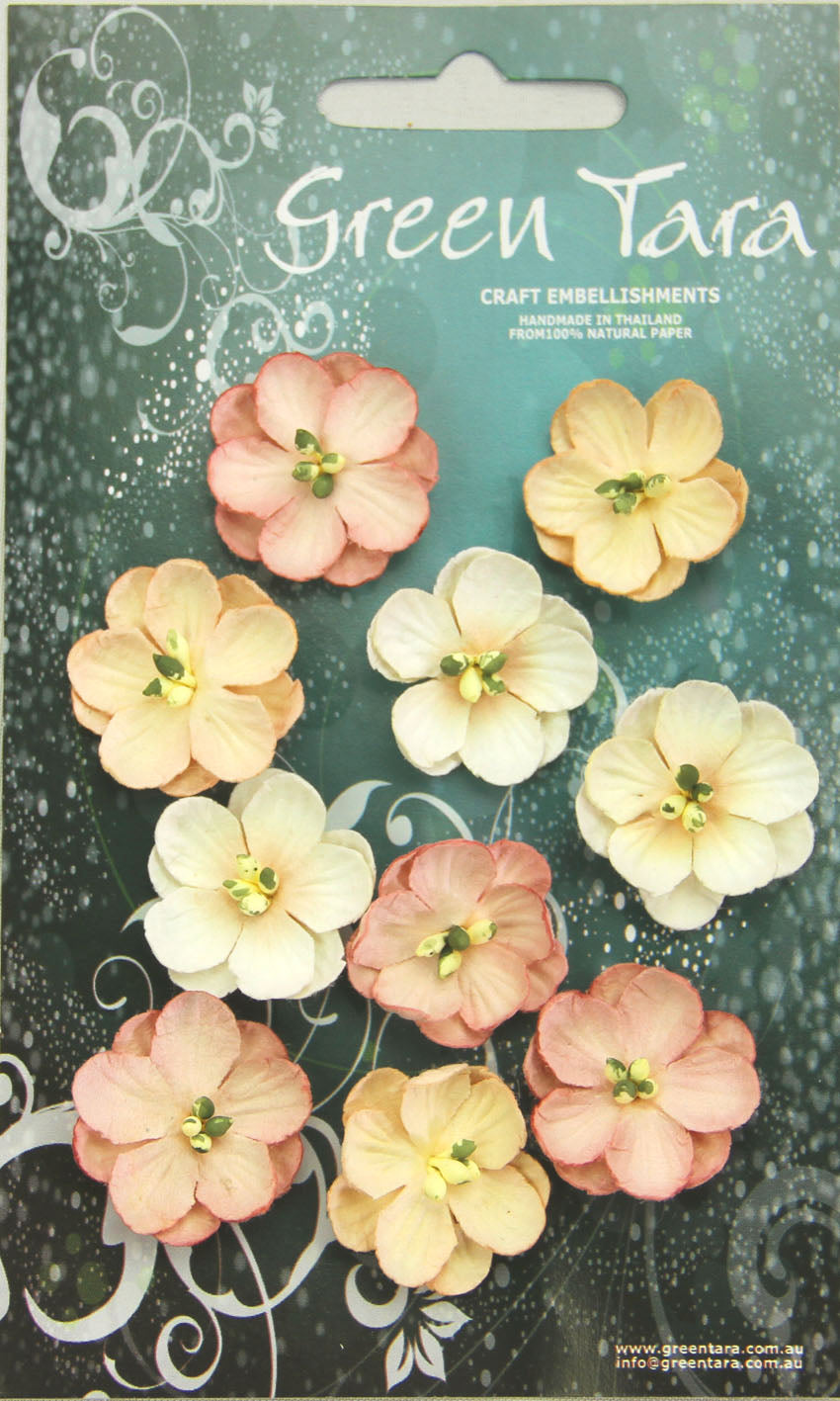 GREEN TARA Flowers - 10 Cherry Blossoms Beige CPBEi