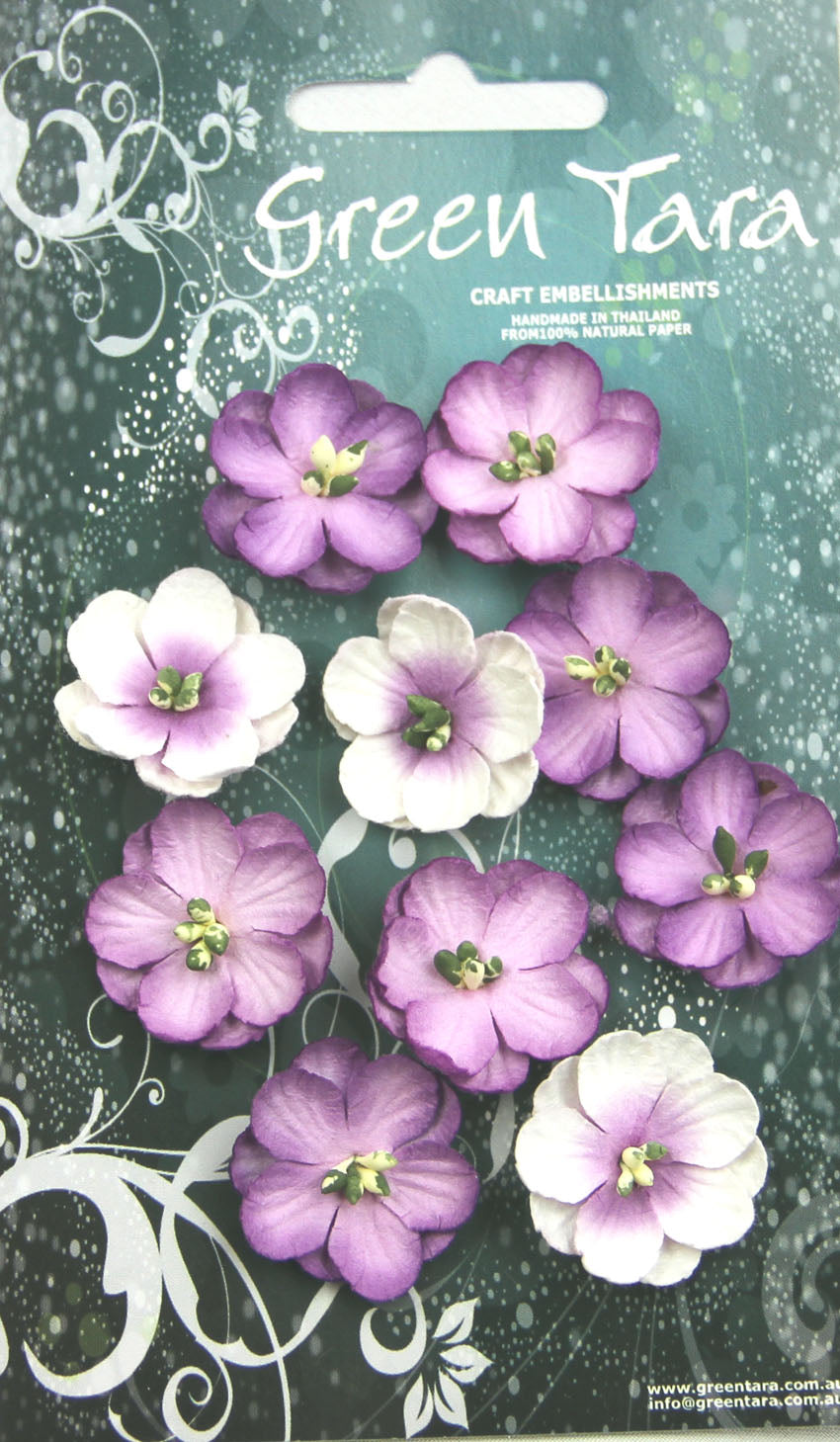 GREEN TARA Flowers - 10 Cherry Blossoms Lavender CPl
