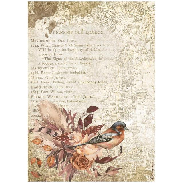 STAMPERIA  A4 Rice Paper - OUR WAY BIRD  DFSA4713