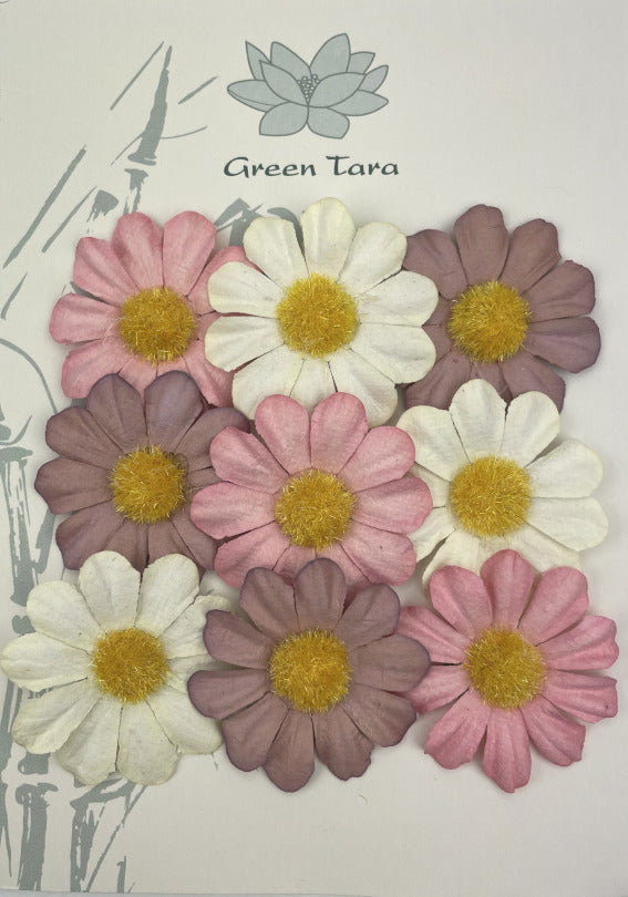 GREEN TARA FLOWERS SUMMER DAISIES - PINK POSIES