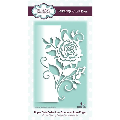 CREATIVE EXPRESSIONS Dies Paper Cuts Collection - Specimen Rose Edger