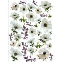 DRESS MY CRAFT - Transfer Me -White Anemone Flowers #40