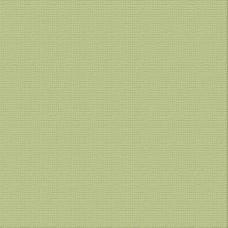 CARD STOCK 250gsm 5pack - VERDE 12 x 12