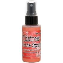 Distress Oxide Spray - Abandoned Coral