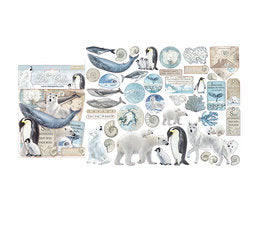 STAMPERIA DIE CUTS- Arctic Antarctic DFLDC19