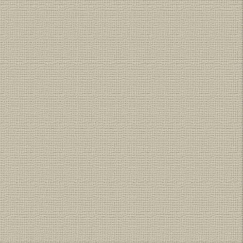 CARD STOCK 216gsm 10pack - Delicate Medlar 12 x 12