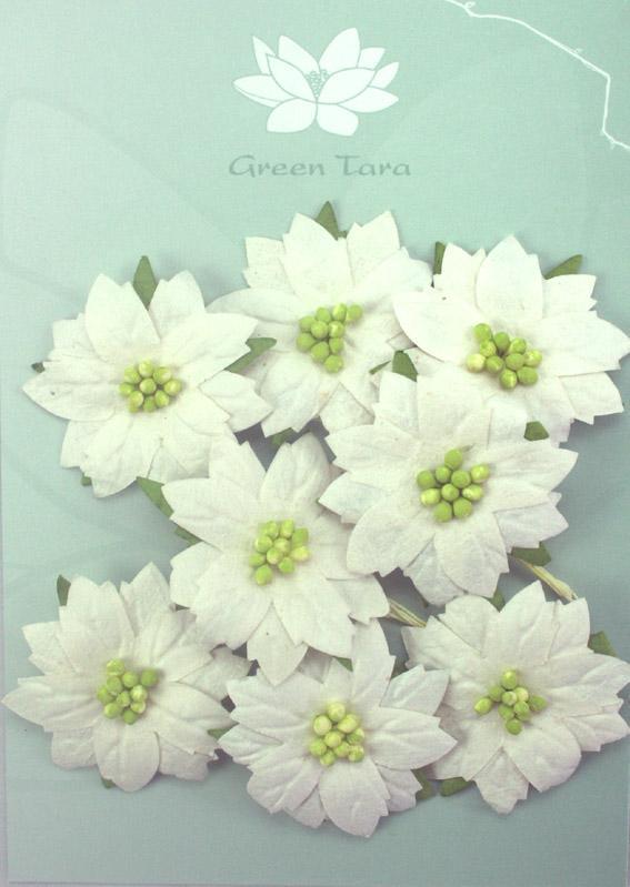 GREEN TARA Flowers - 8 Poinsettias White/Green 4cm PFPWhM G