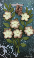 GREEN TARA Flowers -Primrose Collection Natural
