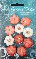 GREEN TARA Flowers - 10 Cherry Blossoms Peach CPpe