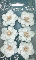 GREEN TARA Flowers - 6pk Lotus Ice Blue XF140841B