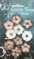 GREEN TARA Flowers - 10 Cherry Mushroom CPMu
